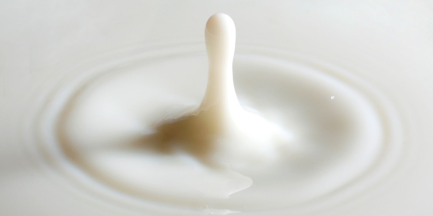 Lait d'Ânesse : Une Histoire Riche de Bienfaits et de Tradition